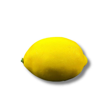 FQZOL_9M582KB1