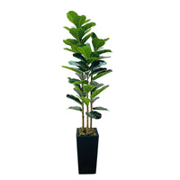 PHK_365G9MCT