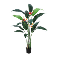 PHO_11J6WXW2