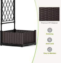 PPG_33MY9LQX