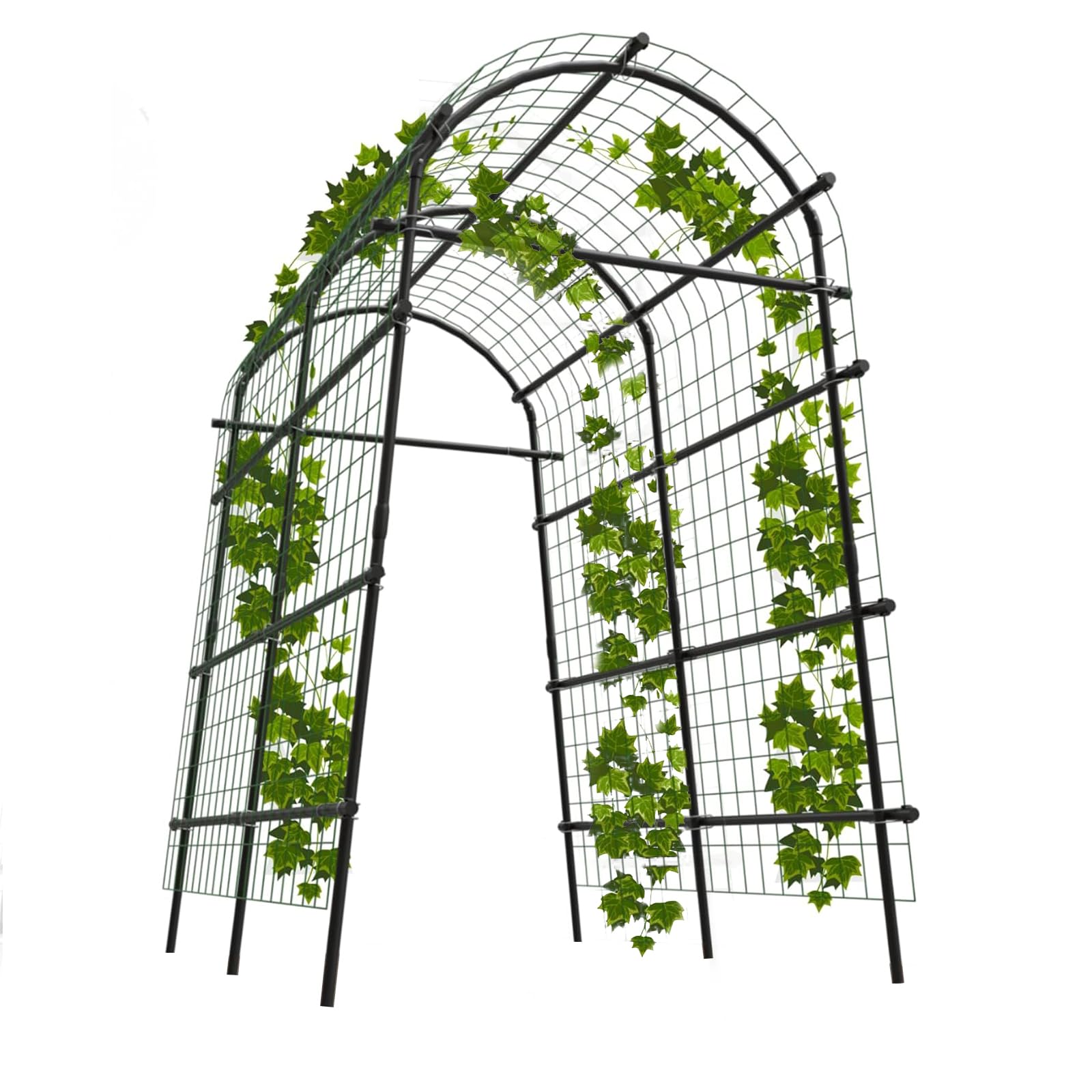 PPG_33MDT8PR