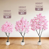 PHK_37HQ3UAM