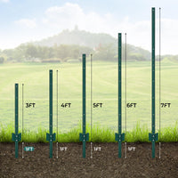 PPG_336AP7M6