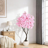 PHK_37HQ3UAM
