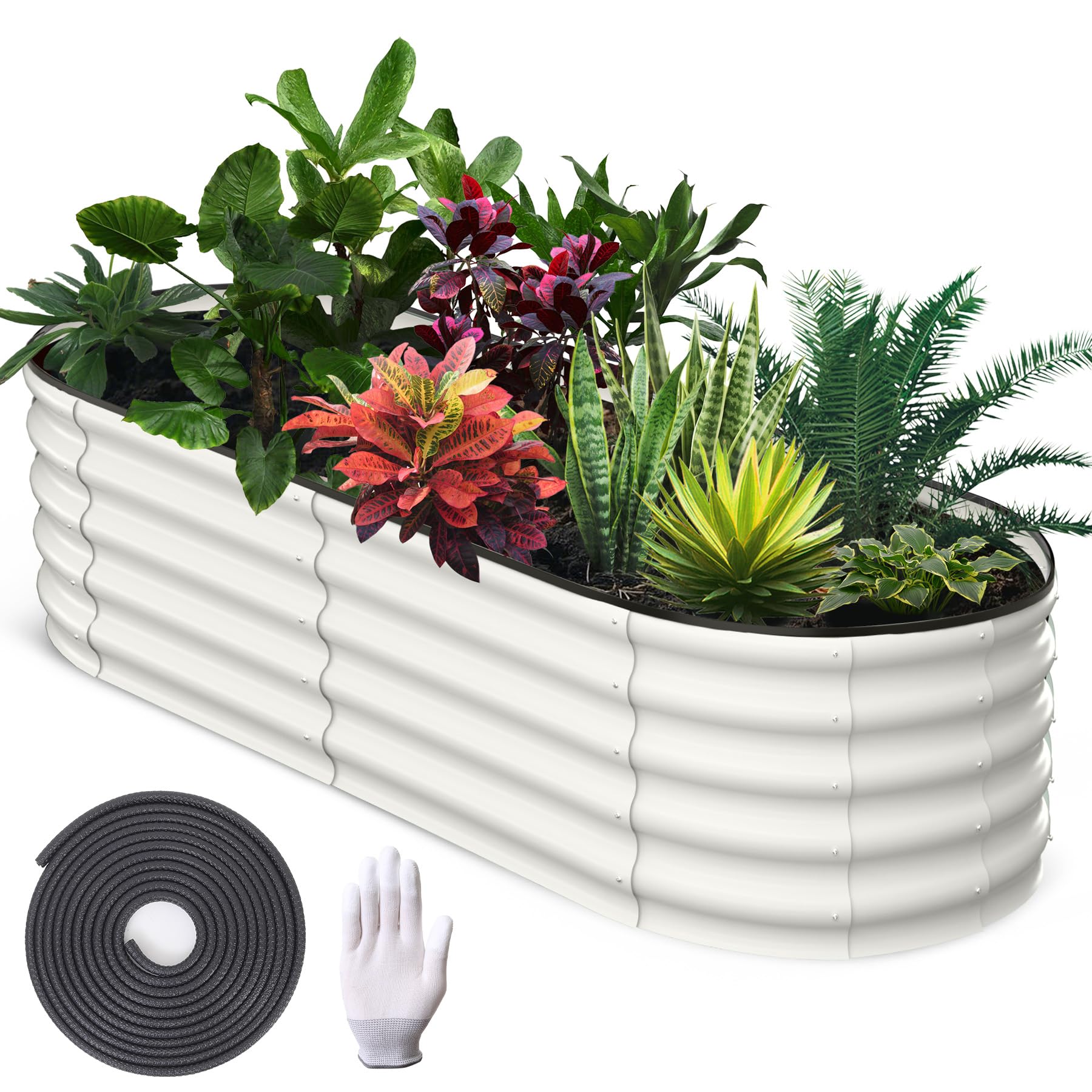 PHO_11YHCGL1