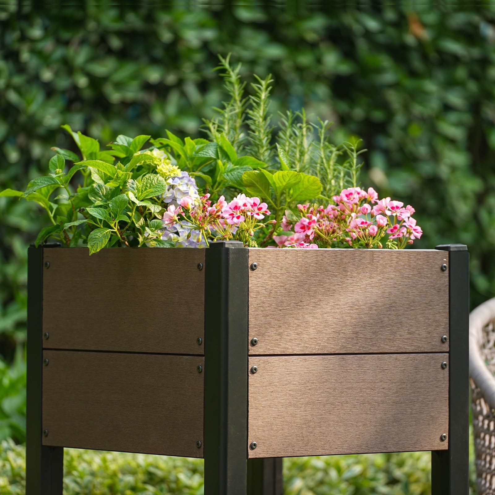 PPG_33WRAKFQ