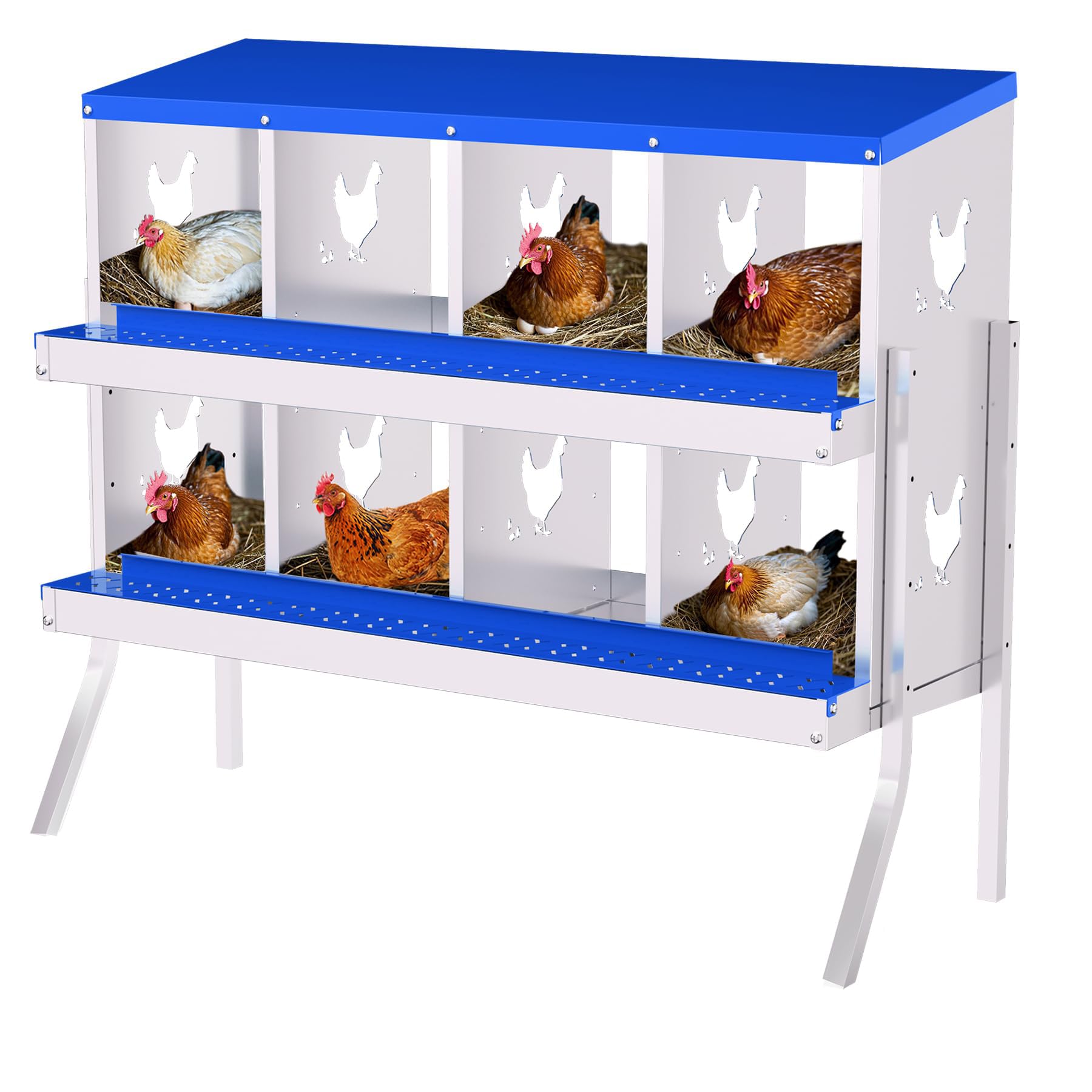 PPG_33LQMJJ5
