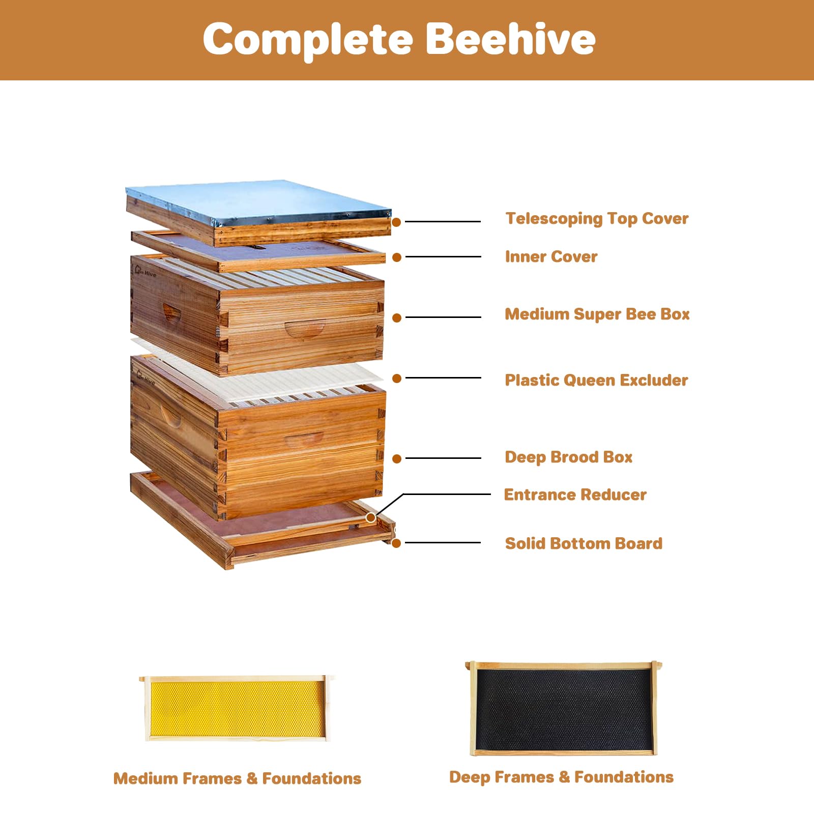 PPG_33BKKVAB