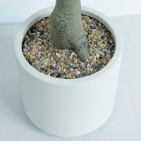 PHK_3677JXDL
