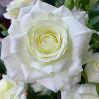 PHK_373N78CG